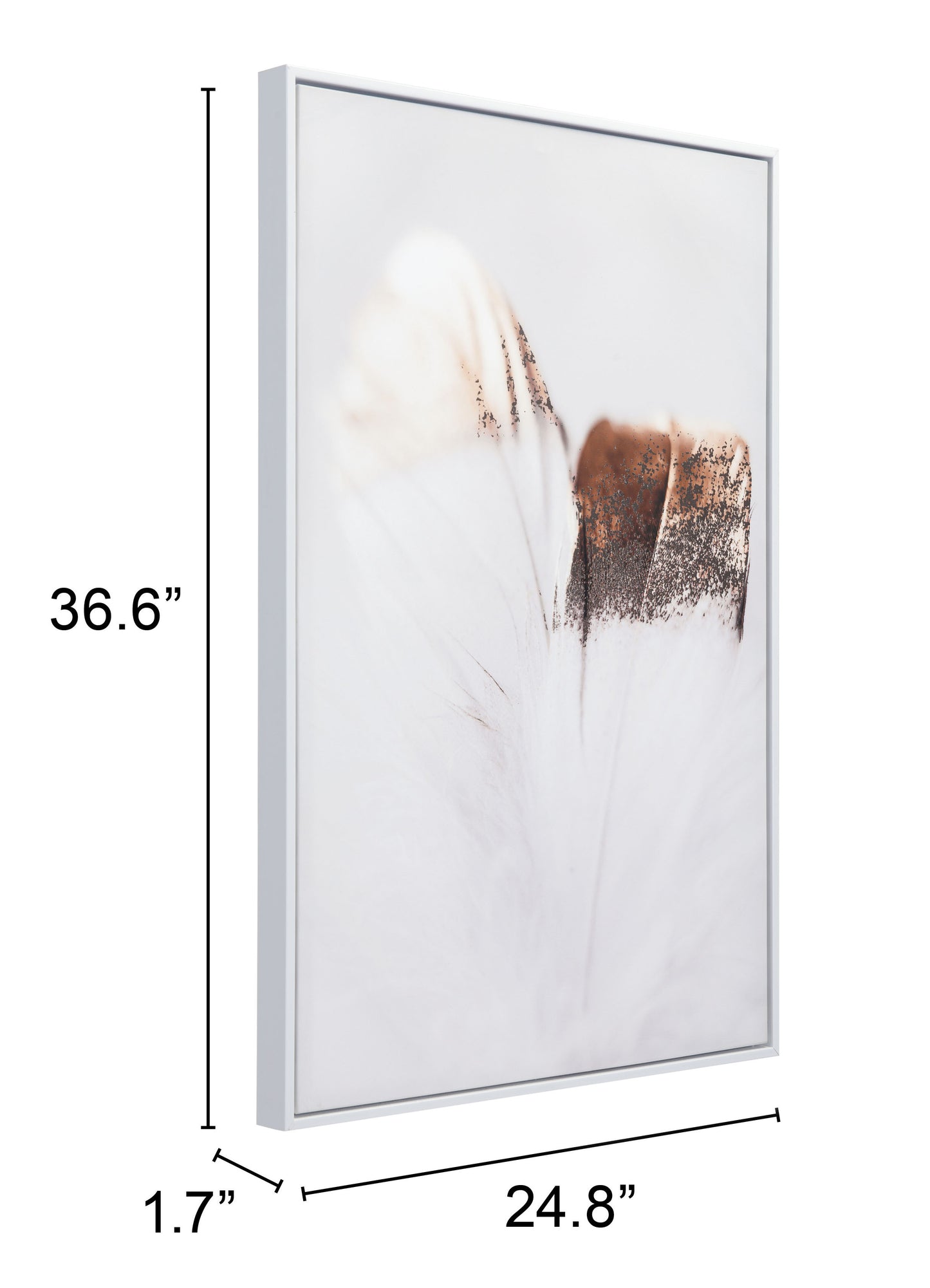 Delicate Feather Canvas Wall Art Multicolor