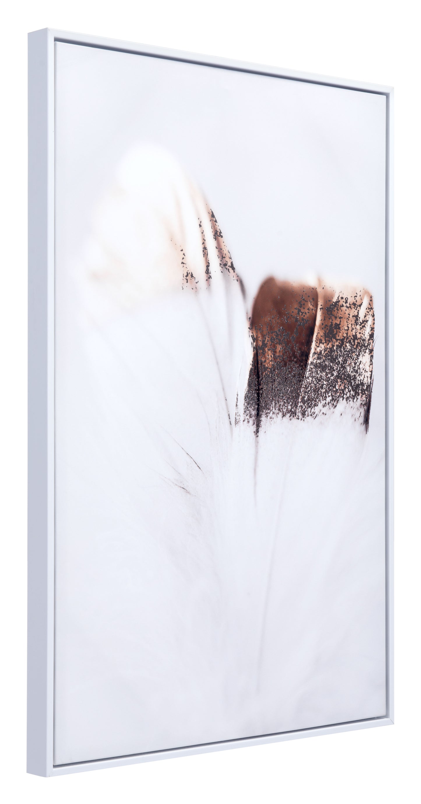 Delicate Feather Canvas Wall Art Multicolor