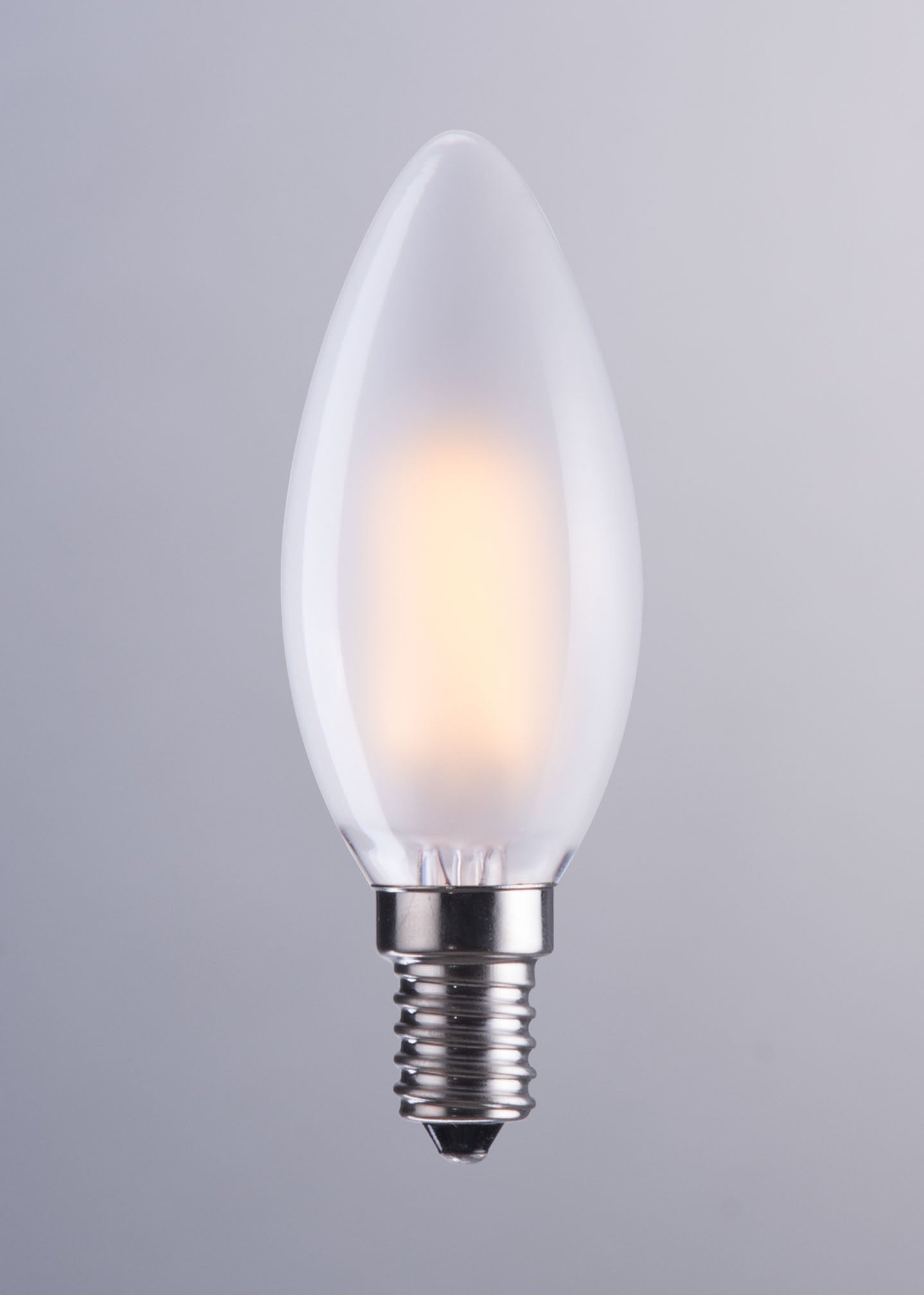E12 Type B 4W 98x35mm LED Light