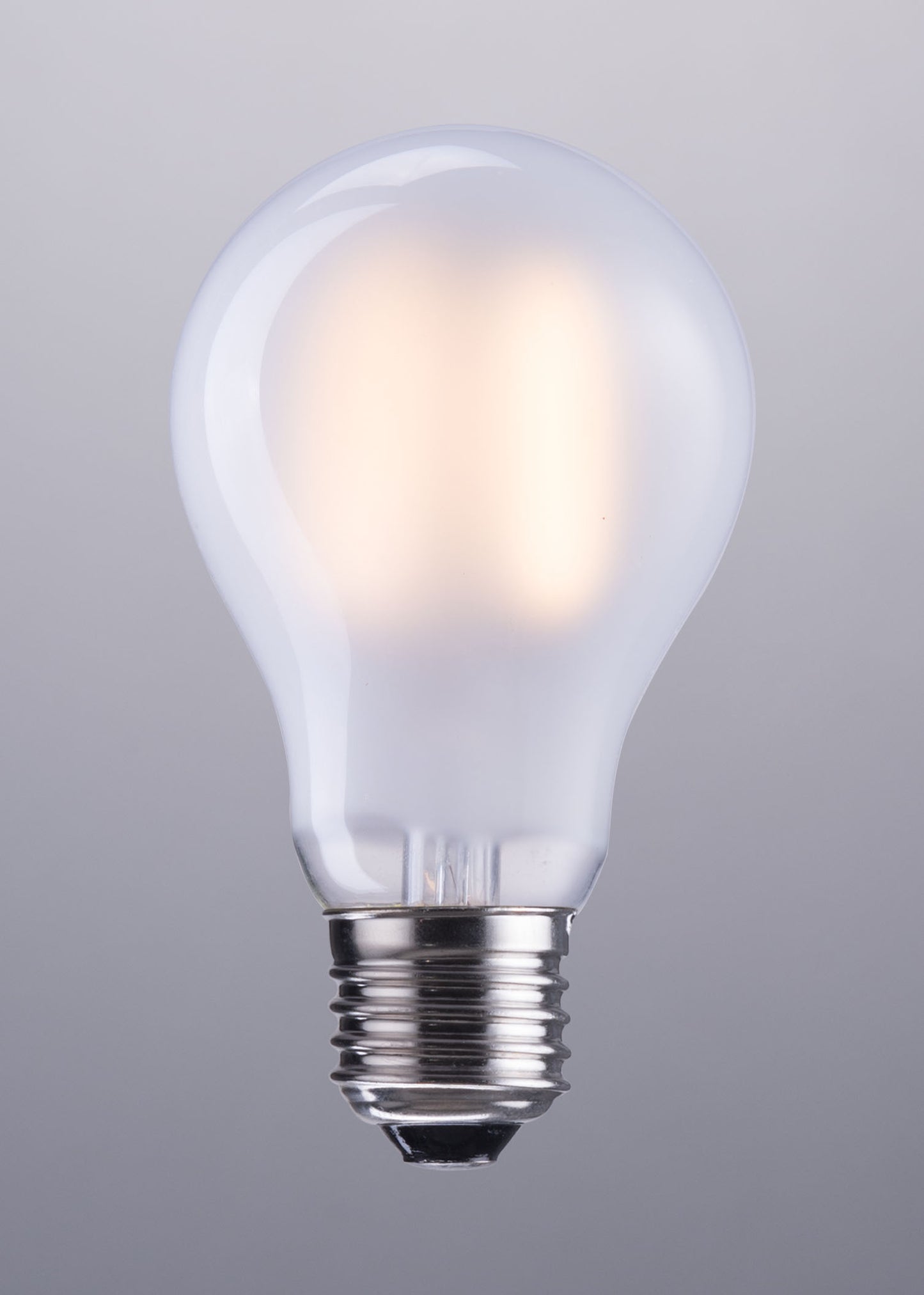 E26 A19 8W 100x60mm LED Light