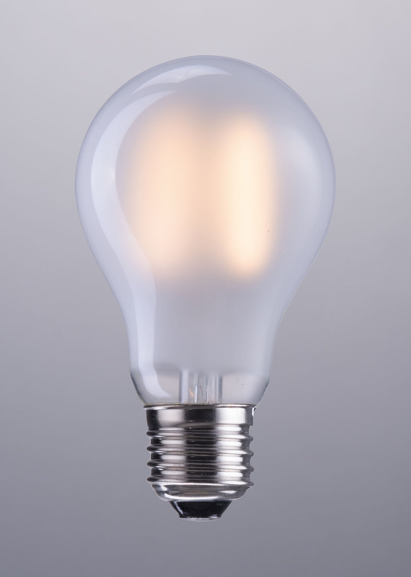 E26 A19 2W 100x60mm LED Light Bulb Frosted White