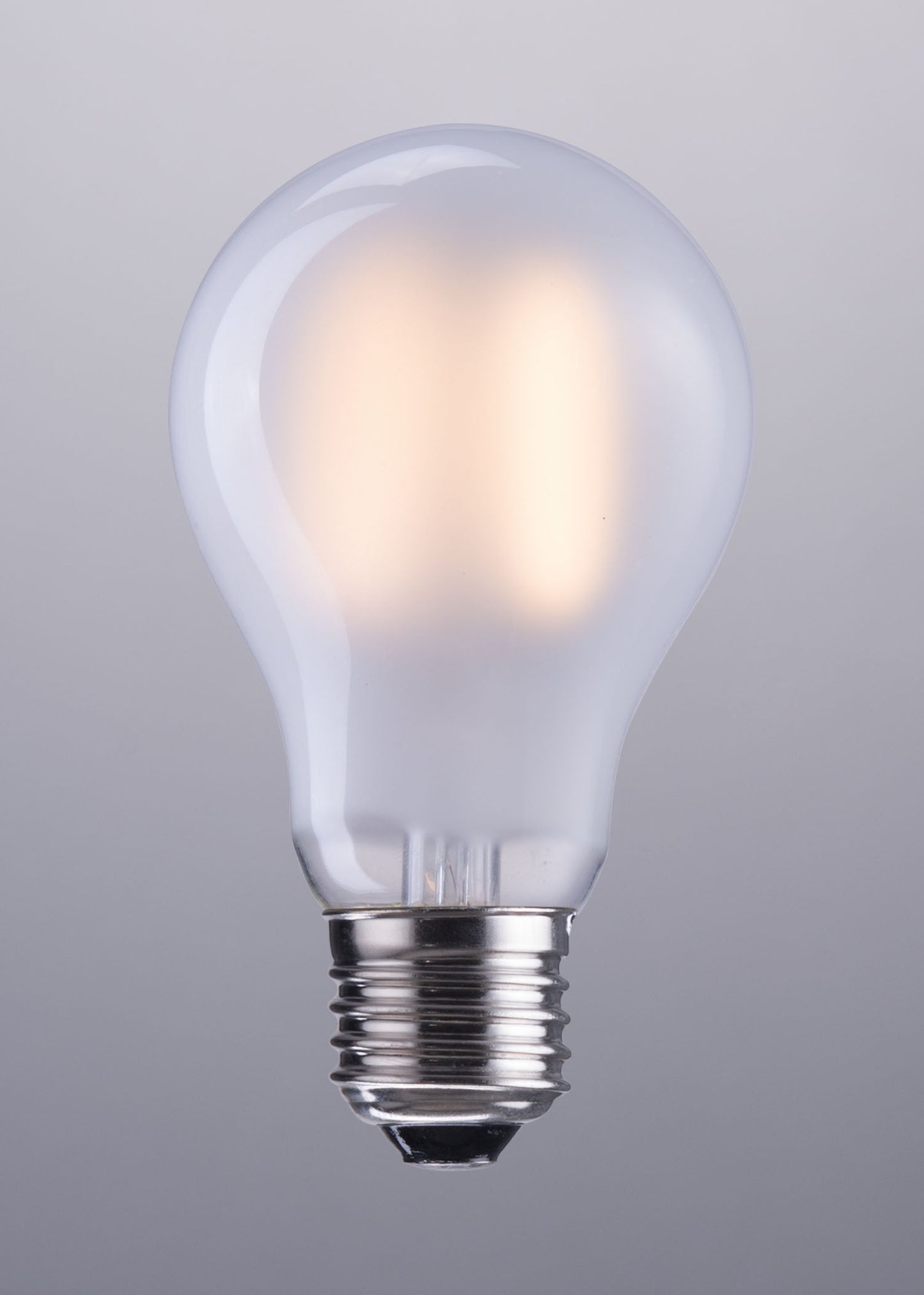 E26 A19 4W 100x60mm LED Light Bulb Frosted White