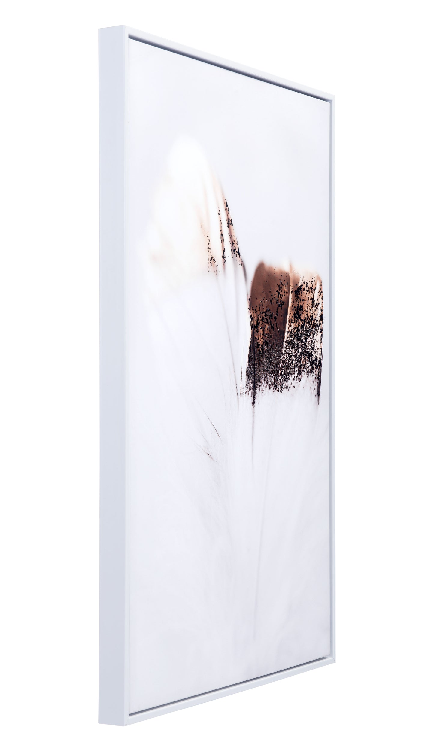 Delicate Feather Canvas Wall Art Multicolor