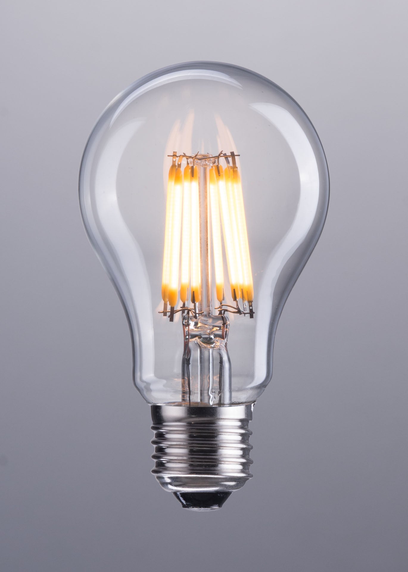 E26 A19 8W 100x60mm LED Light