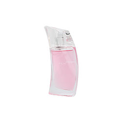Mexx Fly High By Mexx Edt Spray 1.4 Oz