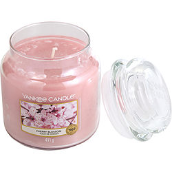 Yankee Candle By Yankee Candle