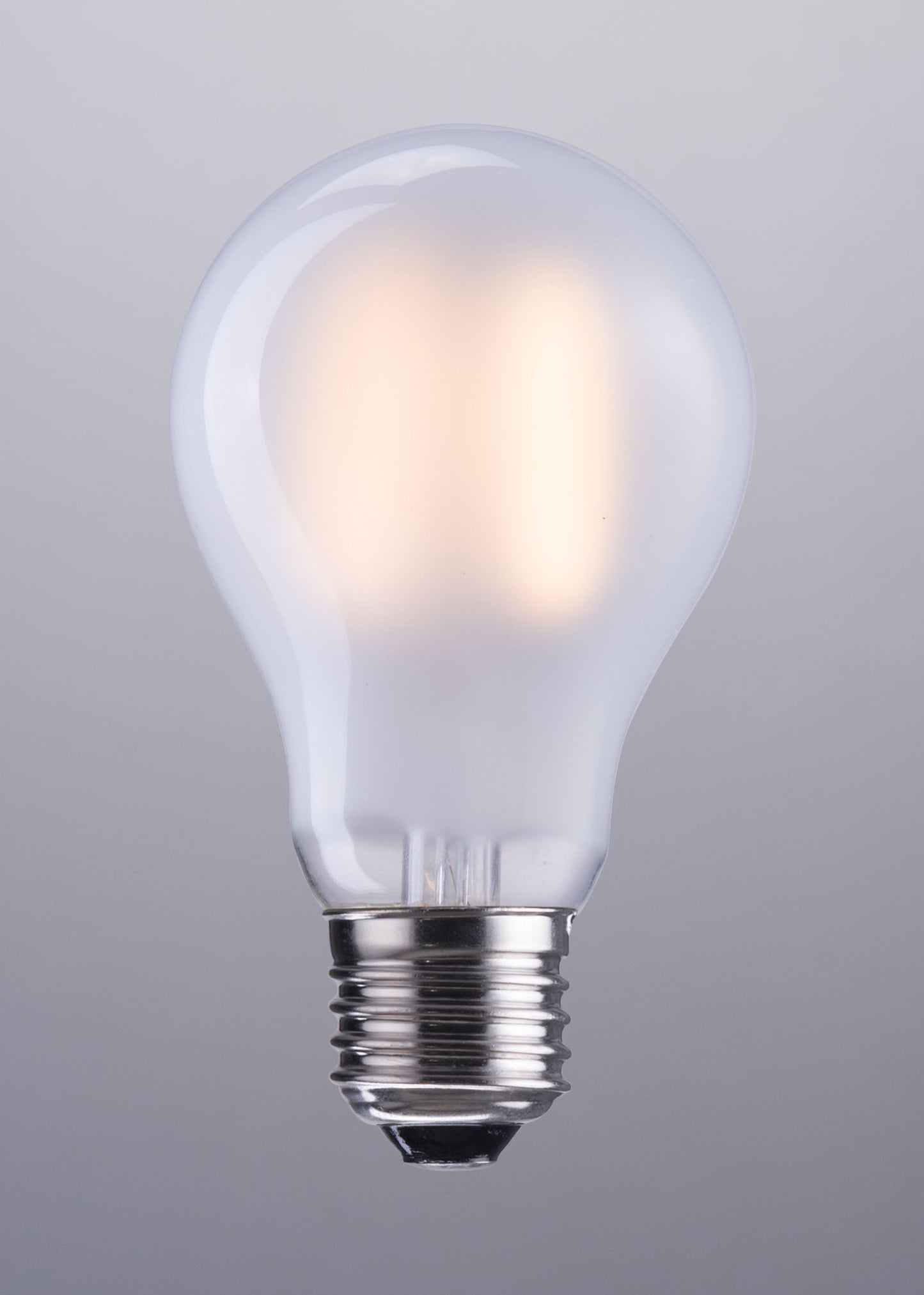 E26 A19 6W 100x60mm LED Light